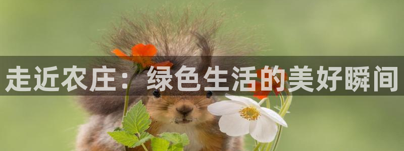 天顺娱乐青厉p官29999