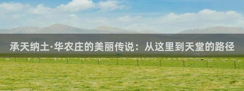 天顺娱乐怎么注册