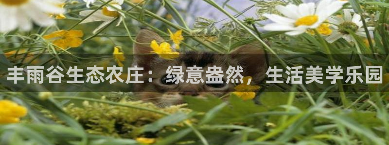 天顺娱乐负责人二优佳p29999