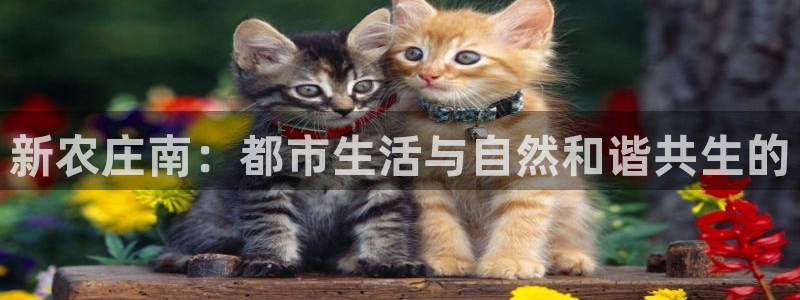 天顺娱乐几黾秦奋83334j