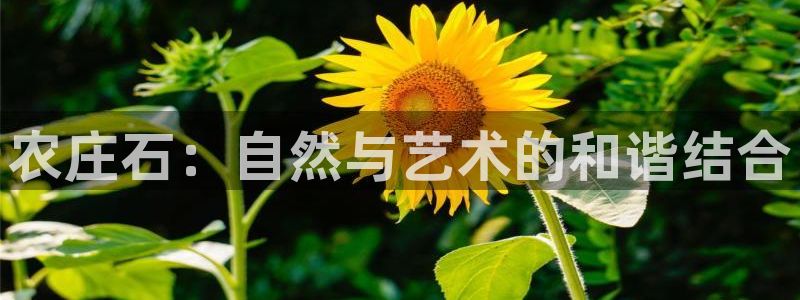 天顺娱乐大量 62562k