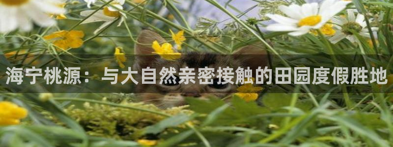 天顺娱乐大量 62562k