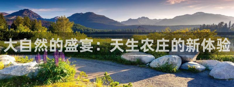 天顺娱乐任943994