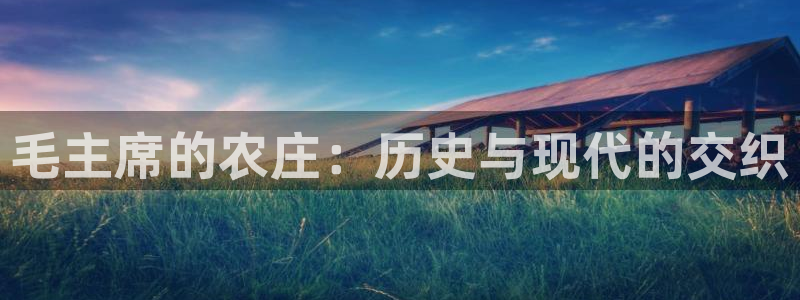 天顺娱乐命气55312